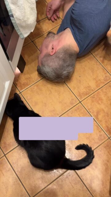 Koci asystent przy pracach domowych jest na wagę złota, nawet jeśli jego pomoc polega na wpychaniu zabawki jeszcze głębiej! 😹

Z perspektywy nauki mruczki to łowcy soliści, więc nie znają pojęcia pracy zespołowej. To, co widzisz, to wzmocnienie lokalne. Co to znaczy? 

Twoje zaangażowanie pod szafką sprawia, że to miejsce staje się dla kota najatrakcyjniejszym punktem w domu. On nie pomaga Tobie, on po prostu chce dopaść ofiarę pierwszy! 🤷🏻‍♀️

Masz w domu takiego ambitnego pomocnika czy Twój kot woli tylko nadzorować Twoje starania z kanapy? 
Daj znać w komentarzu! ✍🏼

#kociesprawy #zyciezkotem #kociamama #kotwdomu #catbehavior