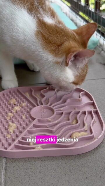 Lick mata wygląda na czystą? To nie zawsze znaczy, że jest czysta 👀
Resztki nokrej karmy bardzo łatwo zostają w zakamarkach, dlatego warto poświęcić minutę na dokładne umycie.
A Ty czym czyścisz lick matę swojeho kota? 😺
Ps. Nie wszystkie maty można myć w zmywarce.
#lickmat #kociesprawy #cattips #healthycat #kociamama