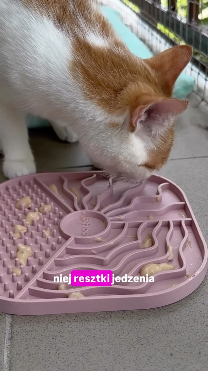 Lick mata wygląda na czystą? To nie zawsze znaczy, że jest czysta 👀
Resztki nokrej karmy bardzo łatwo zostają w zakamarkach, dlatego warto poświęcić minutę na dokładne umycie.
A Ty czym czyścisz lick matę swojeho kota? 😺
Ps. Nie wszystkie maty można myć w zmywarce.
#lickmat #kociesprawy #cattips #healthycat #kociamama