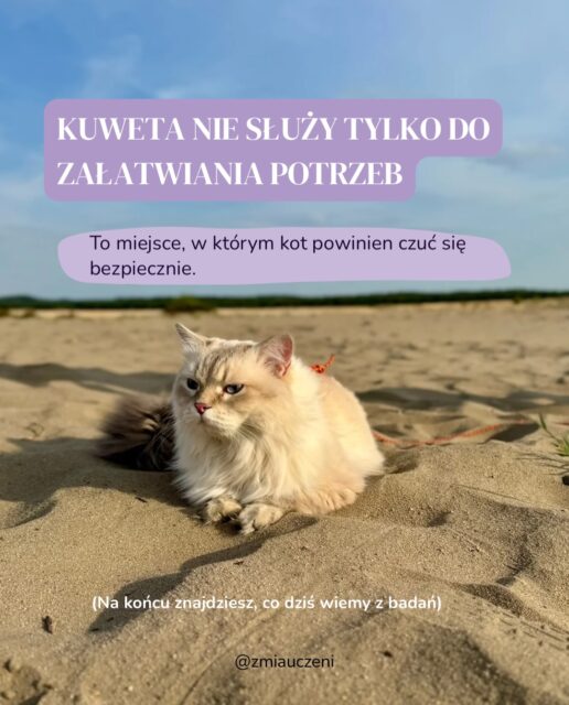 Kuweta wydaje się prostym elementem wyposażenia domu. W praktyce jest jednym z najważniejszych miejsc w kocim środowisku.
Co Twoim zdaniem ma największy wpływ na to, czy kot chętnie korzysta z kuwety? 👇🏼
#litterbox #kotwdomu #catcontent #kociabehawiorystka #catcare
