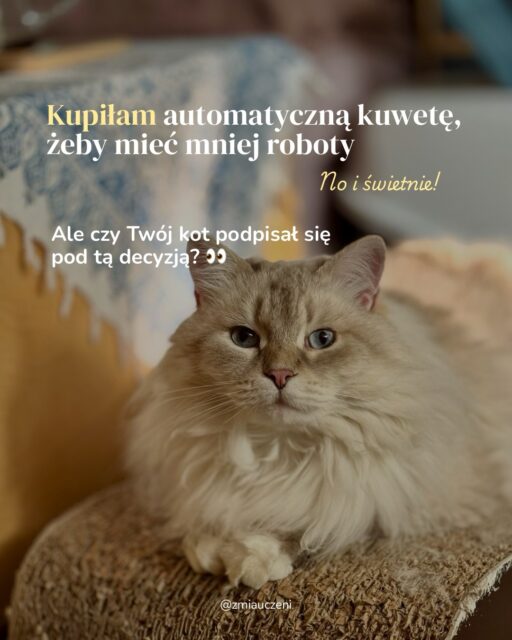 Czy automatyczna kuweta to wybawienie dla opiekuna, czy rozwiązanie, które nie każdemu kotu przypadnie do gustu? 🤖🐱

Automatyzacja może naprawdę ułatwić życie. Mniej ręcznego sprzątania, regularne usuwanie odchodów i więcej czasu dla siebie brzmią całkiem dobrze.

Ale automatyczna kuweta ma automatyzować sprzątanie, a nie opiekę nad kotem.

Kuweta to nie tylko miejsce, które trzeba posprzątać. Jest też bardzo ważnym źródłem informacji o tym, jak kot funkcjonuje. Częstotliwość oddawania moczu, ilość i wygląd moczu czy kału, nagłe zmiany w korzystaniu z kuwety - to rzeczy, których nie warto całkowicie oddawać maszynie. 

Technologia może być bardzo pomocna, ale nie powinna zastępować obowiązków, które nadal należą do opiekuna.

Czy Twój kot korzysta z automatycznej kuwety? Ja  ją zaakceptował? 

#kocibehawiorysta #kuweta #kociesprawy #kotwdomu #opiekanadkotem