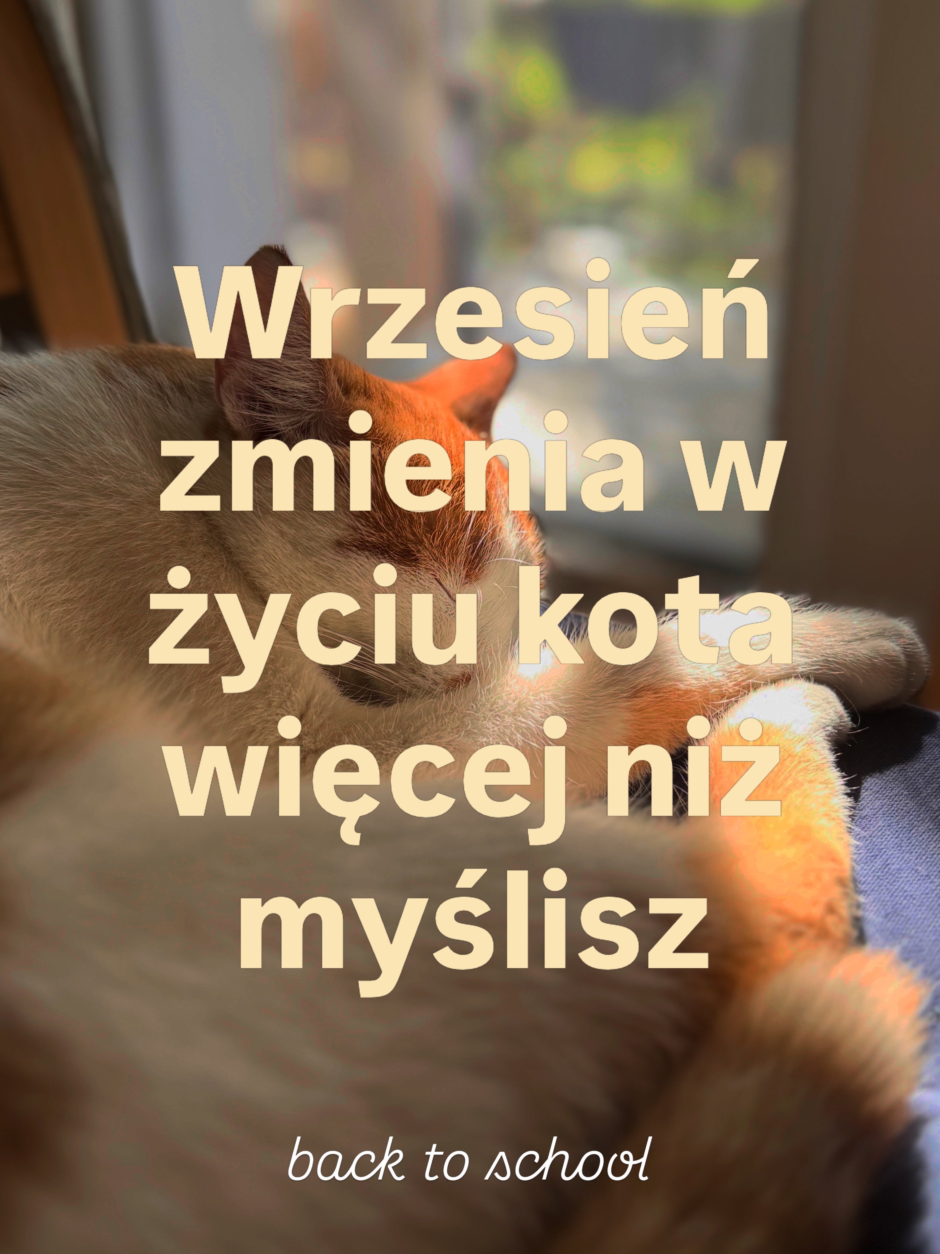 Masz kota i dzieci w wieku szkolnym?
Koniec wakacji to nie tylko nowe zeszyty, pobudki i powrót do szkoły. Dla kota to też może być całkiem spora zmiana.
☕️ Nagle rano wszyscy wstają wcześniej.
🧑🧑🧒🧒 Dzieci znikają z domu na kilka godzin.
📚 Po południu pojawiają się odrabianie lekcji, zajęcia, hałas i zamieszanie.
⏱️ Zmieniają się pory posiłków, zabawy i odpoczynku.
💭 Człowiek myśli -> Wracamy do normalności.
🐱 Kot może myśleć-> Co tu się dzieje? Dlaczego są nagłe zmiany?
Jeśli po pierwszych dniach września Twój kot zacznie być bardziej wokalny, pobudzony, domagać się uwagi albo przeciwnie, więcej się chować, warto najpierw spojrzeć na to, co zmieniło się w jego świecie.
Dla kota zmiana rutyny związanej ze szkołą młodszych domowników też jest zmianą. Czasami bardzo dużą.
#backtoschool #catroutine #catparents #kotwdomu