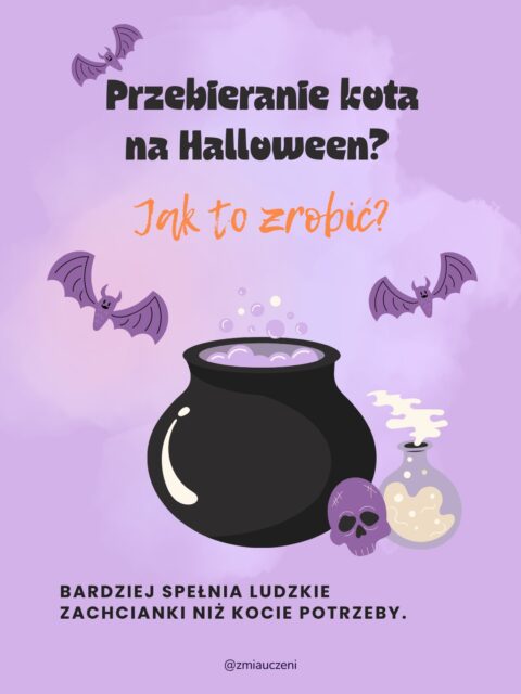 Przebranie dla kota? Do Ciebie lecą serduszka na socialach, dla niego to ogromny stres 🦇🛑
Kot siedzi spokojnie w przebraniu? To NIE JEST od razu zgoda na całą sytuację. To często reakcja na utratę kontroli i poczucia bezpieczeństwa.
Chcesz świętować?
• Przebierz SIEBIE (sklepy pękają w szwach od kostiumów dla ludzi!).
• Kotu daj karton ze sznurkową pajęczyną, matę węchową i spokój.
➡️ Zostawiam szczegóły w karuzeli - przesuń slajdy!
Bawcie się wybornie! 🎃👻
#zabawazkotem #catcontent #kociarze #cathalloween